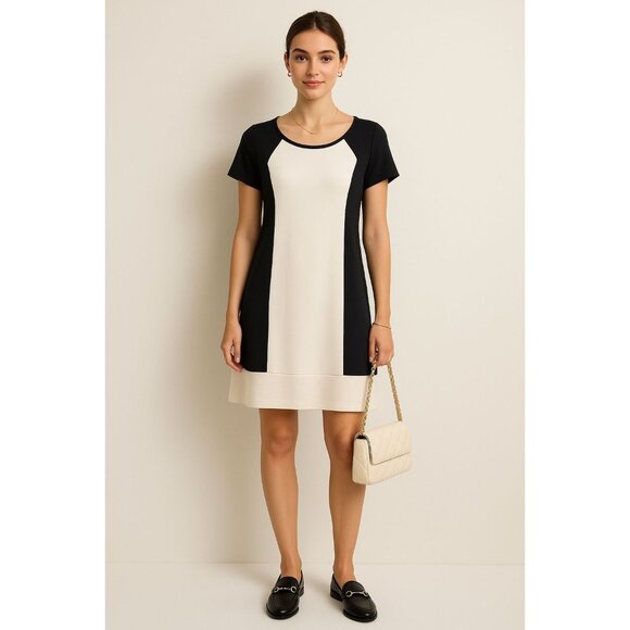 Maeve Colorblock Shift Dress Large Black White Mod Preppy Minimalist - Picture 1 of 9